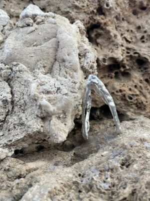 WhatsApp Image 2025-11-03 at 7.47.24 AM (1) Sarband – The Mountain Ring